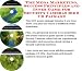 The Mega Marketing, Success Principles and Inner Game for Security Cameras Biz 3 CD Package