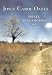 Small Avalanches and Other Stories (Library Binding)