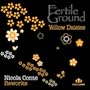 Yellow Daisies (Nicola Conte Remix)