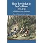 Slave Revolution in the Caribbean, 1789-1804: A Brief History with Documents (The Bedford Series in History and Culture)