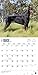 Dobermans 2016 Square 12x12