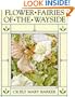 Flower Fairies of the Wayside