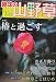 趣味の山野草 2006年 01月号