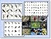 Vitalfinds Bird Clip Art & Stock Photo Image CD