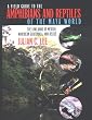 A Field Guide to the Amphibians and Reptiles of the Maya World: The Lowlands of Mexico, Northern Guatemala and Belize