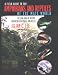 A Field Guide to the Amphibians and Reptiles of the Maya World: The Lowlands of Mexico, Northern Guatemala, and Belize