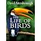 My Favorite Animal Books