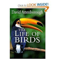 The Life of Birds
