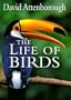The Life of Birds