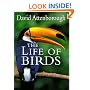 The Life of Birds