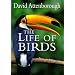 The Life of Birds