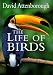 The Life of Birds