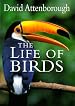 The Life of Birds