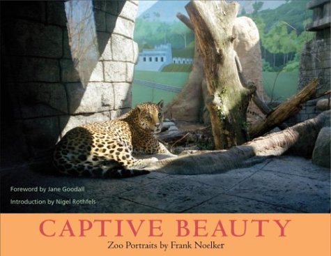 Documentary-collections
