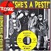 Music : Teenage Shutdown: She's a Pest!