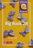 Focus on literacy. Big book 2B