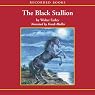 The Black Stallion