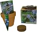 S.F. Imports GB-FORGET/MD Grow Your Own Medium Flower Kit, Forget Me Not