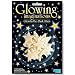 Search : Set of 16 assorted small, medium & large Glow-In-The-Dark Stars by Glowing Imaginations