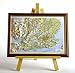Search : South East England Raised Relief Map (Raised Relief Maps Series)