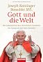 Gott und die Welt: Die Geheimnisse des christlichen Glaubens - Ein Gespr�ch mit Peter Seewald