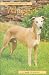 Pet Owner's Guide to the Whippet