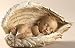 8" Joseph's Studio Sleeping Baby in Angel Wings Figure with Verse