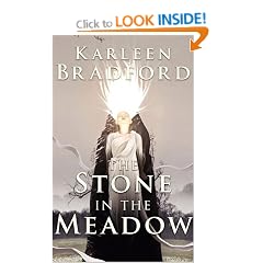 The Stone in The Meadow