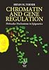 Chromatin and Gene Regulation: Molecular Mechanisms in Epigenetics