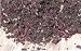 Earthworms