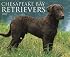 Chesapeake Bay Retrievers 2007 Calendar