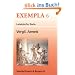 Aeneis: Lateinische Texte mit Erl�uterungen. Arbeitsauftr�ge, Begleittexte, Interpretationsgesichtspunkte, metrischer Anhang und Stilistik