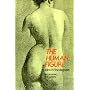 The Human Figure