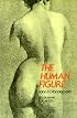 The Human Figure