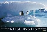 Reise ins Eis 2011 - PhotoArt Panorama - 