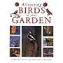 Attracting Birds to Your Garden