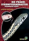 Produkt-Bild: Die Pr&auml;rie-Strumpfbandnatter: Thamnophis radix