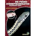 Die Pr�rie-Strumpfbandnatter: Thamnophis radix