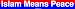 Islam Means Peace Bumper Sticker