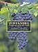 Zinfandel: A History of a Grape and Its Wine (California Studies in Food and Culture) (Volume 10)
