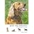 Collins Good Dog Behaviour: An Owner's Guide (Owners Guide)