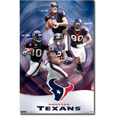 (22x34) Houston Texans Collage Sports Poster Print