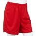 Champion Men's Mesh Short