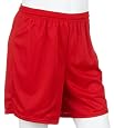 Champion Men`s Mesh Short