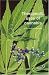 Therapeutic Uses of Cannabis