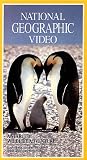 National Geographic s Antarctic Wildlife Adventure [VHS]