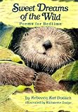 Books : Sweet Dreams of the Wild: Poems for Bedtime