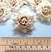 (100) Silk Cream Roses Flower Head - 1.75