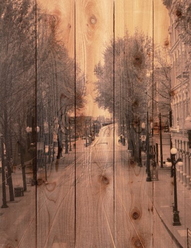 Gizaun Art City Street 28-Inch by 36-Inch Inside/Outside Wall Art, Full Color on Cedar