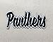 Panthers - Black/White - Team Mascot - Words/Names - Iron on Applique/Embroidered Patch